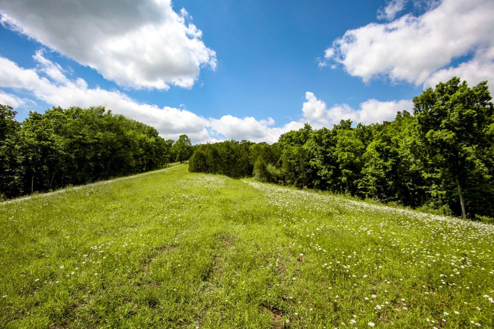 威廉斯敦80 Acre Retreat With Pool - Minutes To Ark - Sleeps 15别墅 外观 照片
